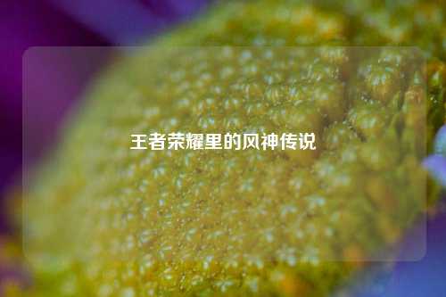 王者荣耀里的风神传说