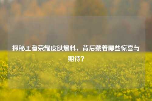 探秘王者荣耀皮肤爆料,背后藏着哪些惊喜与期待?