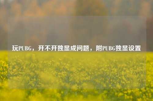 玩PUBG,开不开独显成问题,附PUBG独显设置