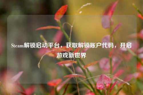 Steam解锁启动平台,获取解锁账户代码,开启游戏新世界