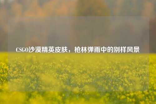 CSGO沙漠精英皮肤,枪林弹雨中的别样风景