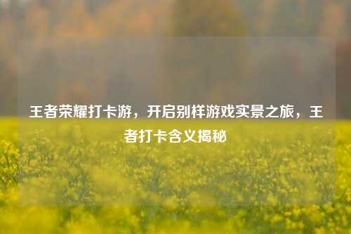 王者荣耀打卡游，开启别样游戏实景之旅，王者打卡含义揭秘