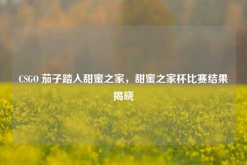 CSGO 茄子踏入甜蜜之家,甜蜜之家杯比赛结果揭晓