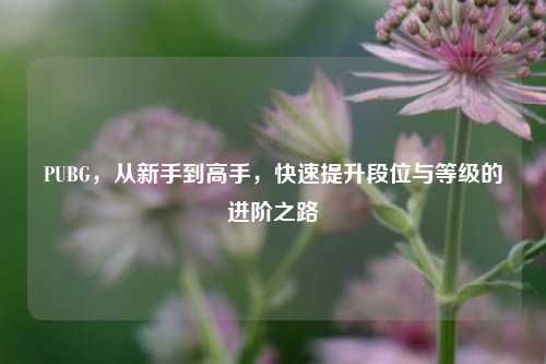 PUBG,从新手到高手,快速提升段位与等级的进阶之路