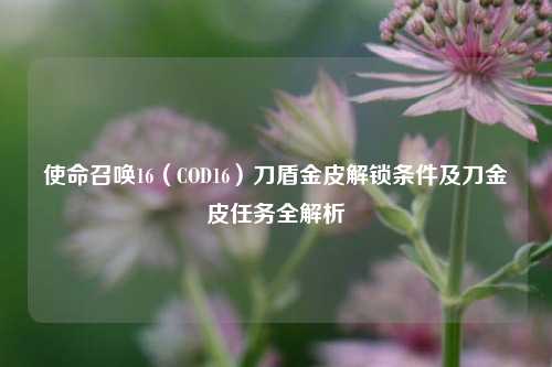 使命召唤16(COD16)刀盾金皮解锁条件及刀金皮任务全解析