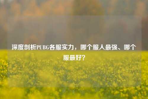 深度剖析PUBG各服实力，哪个服人最强、哪个服最好？