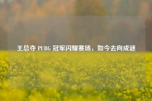 王总夺 PUBG 冠军闪耀赛场，如今去向成谜