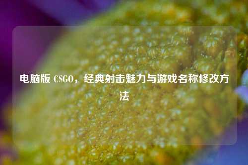 电脑版 CSGO，经典射击魅力与游戏名称修改方法