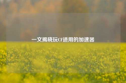 一文揭晓玩CF适用的加速器