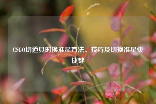 CSGO切道具时换准星方法、技巧及切换准星快捷键