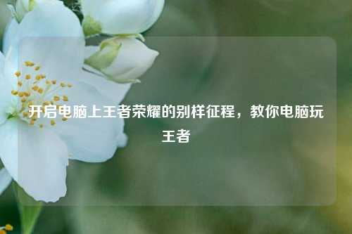 开启电脑上王者荣耀的别样征程，教你电脑玩王者