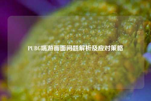 PUBG端游画面问题解析及应对策略
