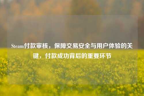 Steam付款审核，保障交易安全与用户体验的关键，付款成功背后的重要环节