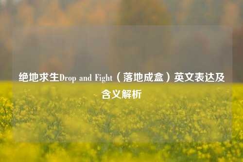 绝地求生Drop and Fight（落地成盒）英文表达及含义解析