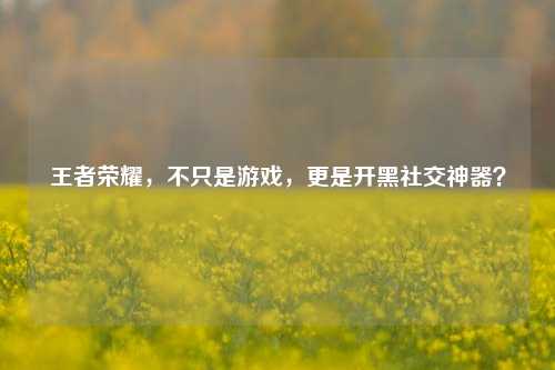 王者荣耀，不只是游戏，更是开黑社交神器？