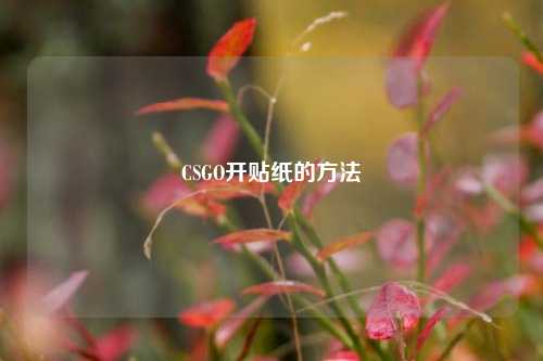 CSGO开贴纸的方法