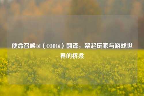 使命召唤16（COD16）翻译，架起玩家与游戏世界的桥梁