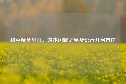 和平精英小几，游戏闪耀之星及语音开启方法