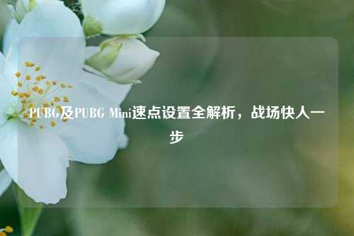 PUBG及PUBG Mini速点设置全解析，战场快人一步