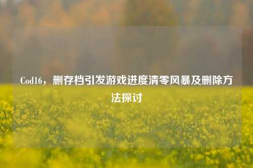 Cod16,删存档引发游戏进度清零风暴及删除方法探讨