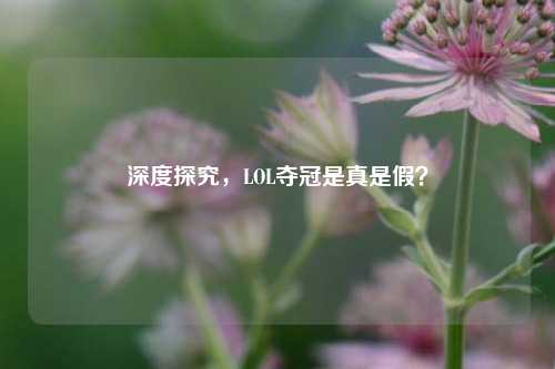 深度探究,LOL夺冠是真是假?
