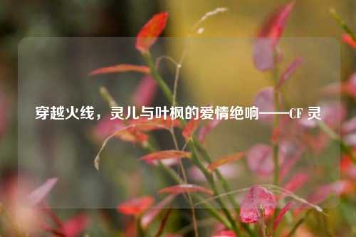 穿越火线,灵儿与叶枫的爱情绝响——CF 灵