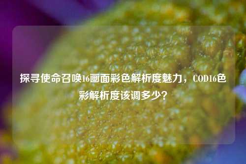 探寻使命召唤16画面彩色解析度魅力，COD16色彩解析度该调多少？