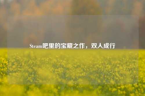 Steam吧里的宝藏之作,双人成行