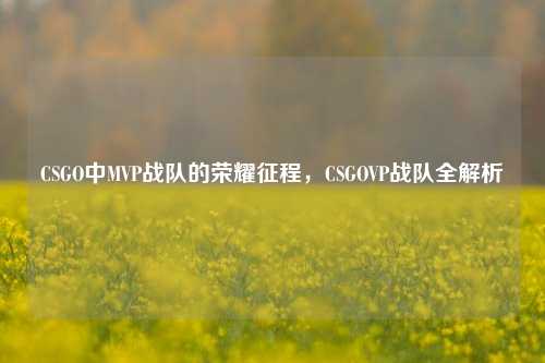 CSGO中MVP战队的荣耀征程,CSGOVP战队全解析
