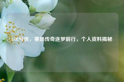 LOL兮夜,赛场传奇逐梦前行,个人资料揭秘