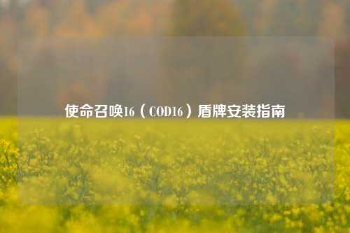 使命召唤16(COD16)盾牌安装指南