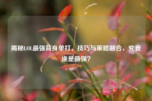 揭秘LOL最强背身单打，技巧与策略融合，究竟谁是最强？