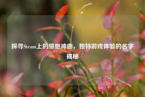 探寻Steam上的细胞神曲,独特游戏体验的名字揭秘