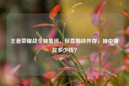 王者荣耀战令抽鲁班,惊喜期待并存,抽中需花多少钱?