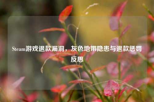 Steam游戏退款漏洞,灰色地带隐患与退款惩罚反思