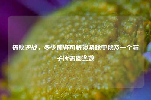 探秘逆战,多少图鉴可解锁游戏奥秘及一个箱子所需图鉴数