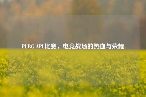 PUBG APL比赛,电竞战场的热血与荣耀