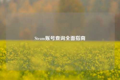 Steam账号查询全面指南