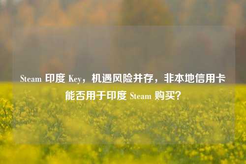 Steam 印度 Key,机遇风险并存,非本地信用卡能否用于印度 Steam 购买?