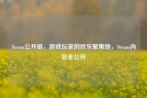 Steam公开组,游戏玩家的欢乐聚集地,Steam内容全公开