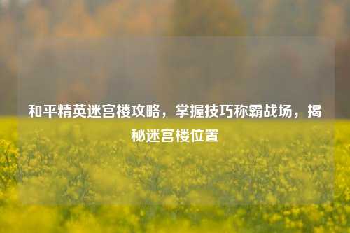 和平精英迷宫楼攻略,掌握技巧称霸战场,揭秘迷宫楼位置