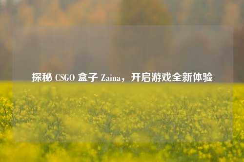 探秘 CSGO 盒子 Zaina,开启游戏全新体验