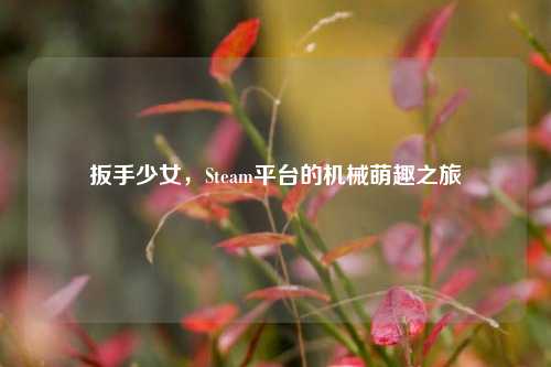 扳手少女,Steam平台的机械萌趣之旅