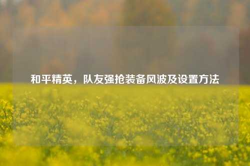 和平精英,队友强抢装备风波及设置方法
