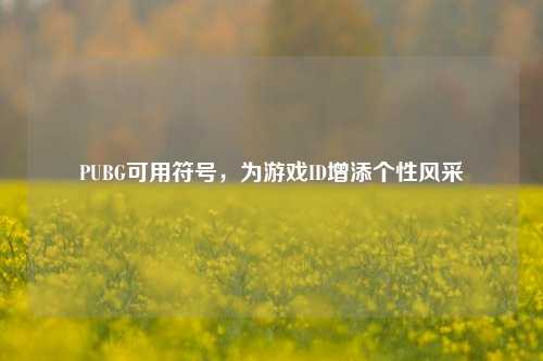 PUBG可用符号,为游戏ID增添个性风采