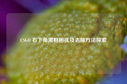 CSGO 右下角黑框困扰及去除方法探索