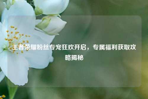 王者荣耀粉丝专宠狂欢开启,专属福利获取攻略揭秘