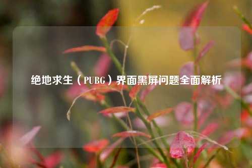 绝地求生(PUBG)界面黑屏问题全面解析