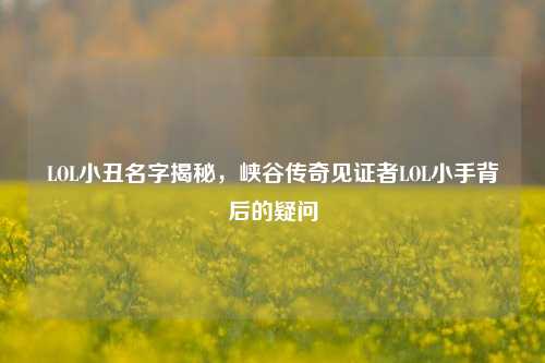 LOL小丑名字揭秘,峡谷传奇见证者LOL小手背后的疑问